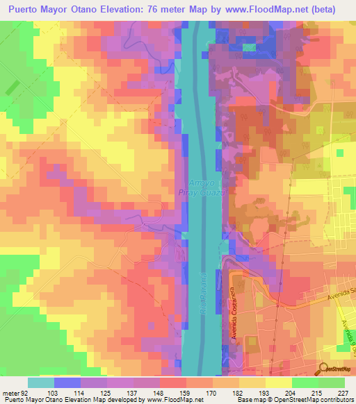 Puerto Mayor Otano,Paraguay Elevation Map