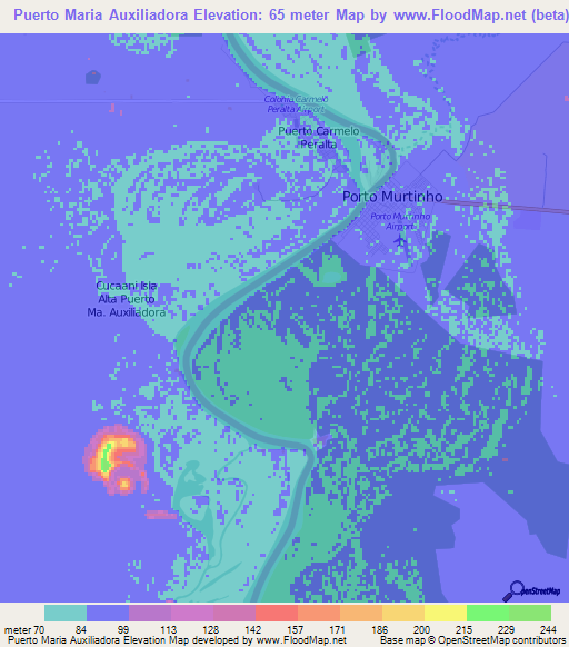 Puerto Maria Auxiliadora,Paraguay Elevation Map