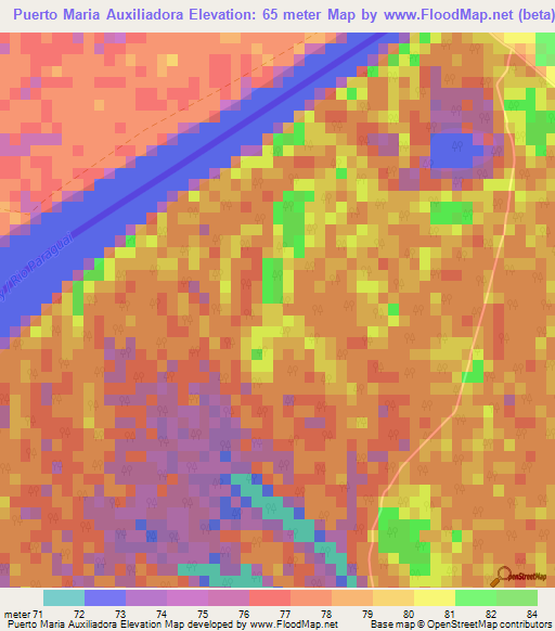 Puerto Maria Auxiliadora,Paraguay Elevation Map
