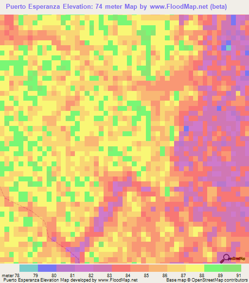 Puerto Esperanza,Paraguay Elevation Map