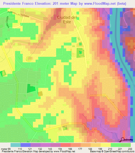 Presidente Franco,Paraguay Elevation Map