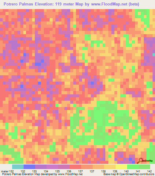 Potrero Palmas,Paraguay Elevation Map