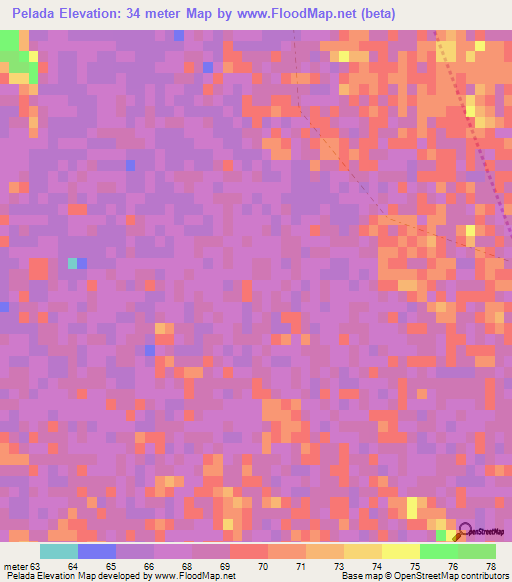 Pelada,Paraguay Elevation Map