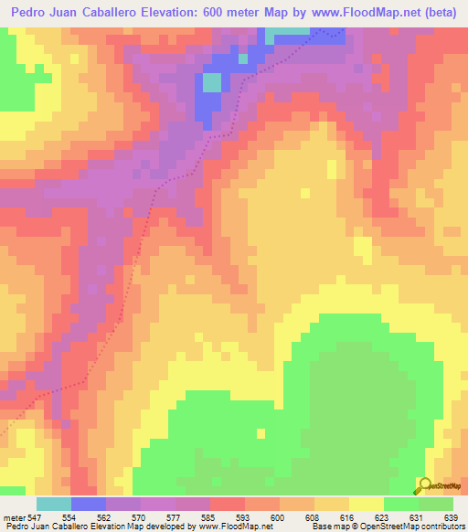 Pedro Juan Caballero,Paraguay Elevation Map