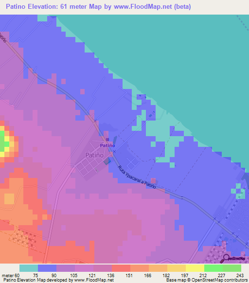 Patino,Paraguay Elevation Map
