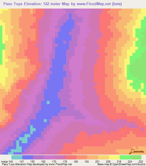 Paso Tuya,Paraguay Elevation Map