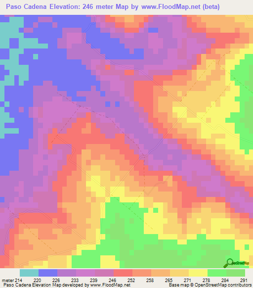 Paso Cadena,Paraguay Elevation Map