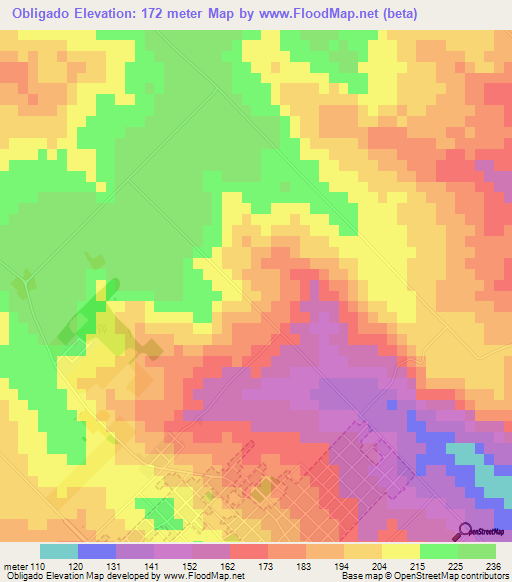 Obligado,Paraguay Elevation Map