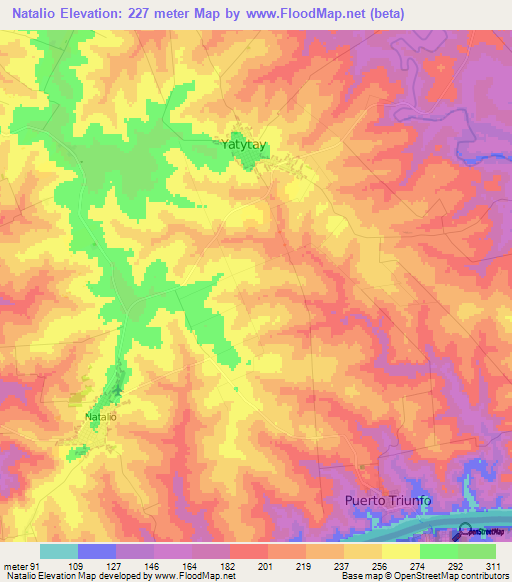 Natalio,Paraguay Elevation Map