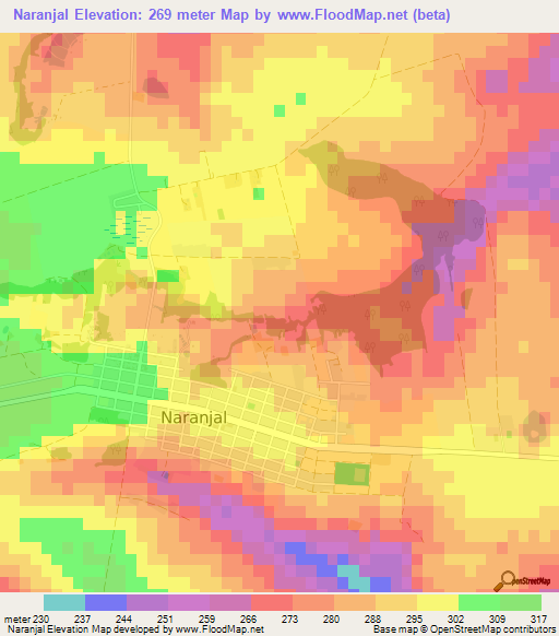 Naranjal,Paraguay Elevation Map