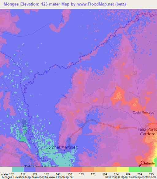 Monges,Paraguay Elevation Map