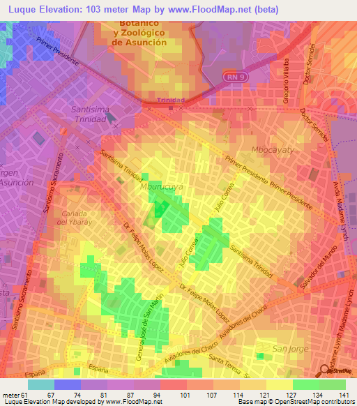 Luque,Paraguay Elevation Map