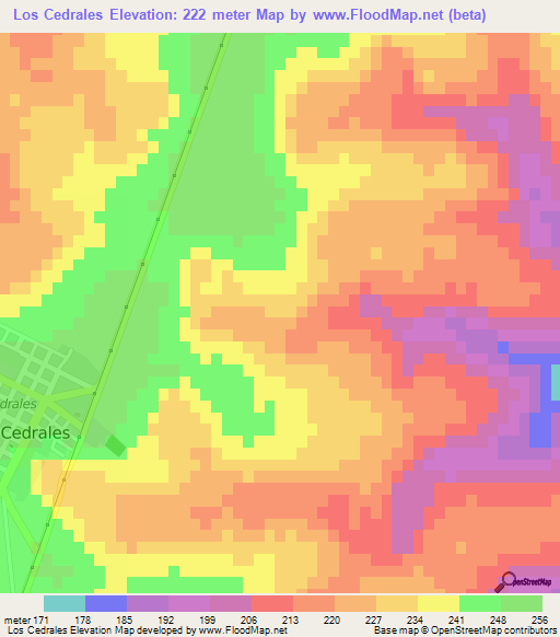 Los Cedrales,Paraguay Elevation Map