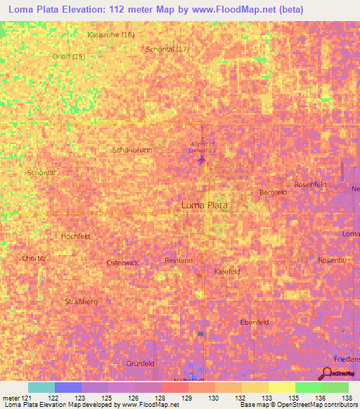 Loma Plata,Paraguay Elevation Map