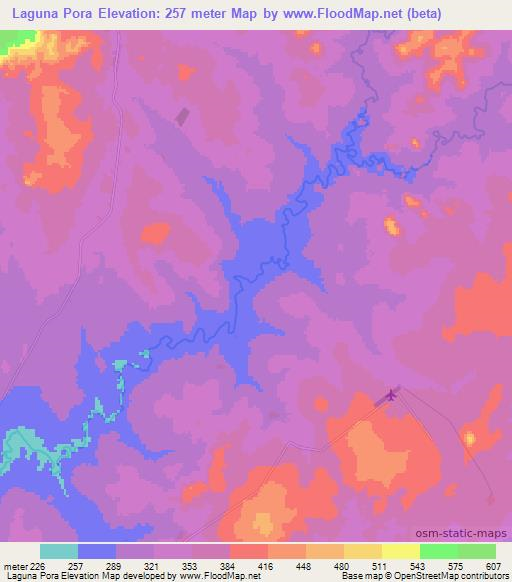 Laguna Pora,Paraguay Elevation Map