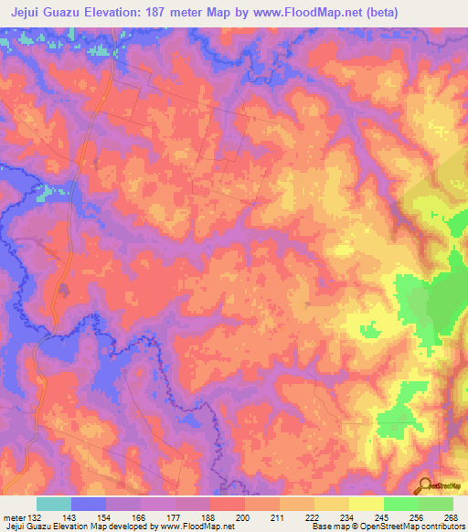 Jejui Guazu,Paraguay Elevation Map