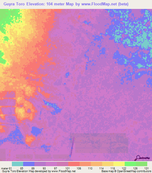 Guyra Toro,Paraguay Elevation Map