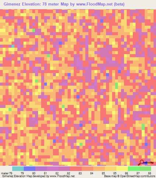 Gimenez,Paraguay Elevation Map