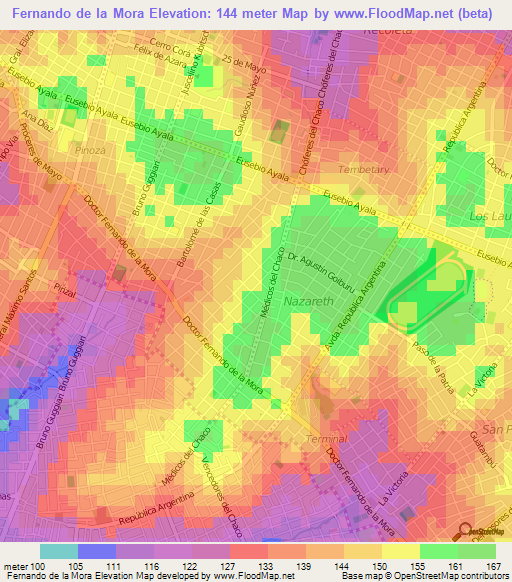 Fernando de la Mora,Paraguay Elevation Map