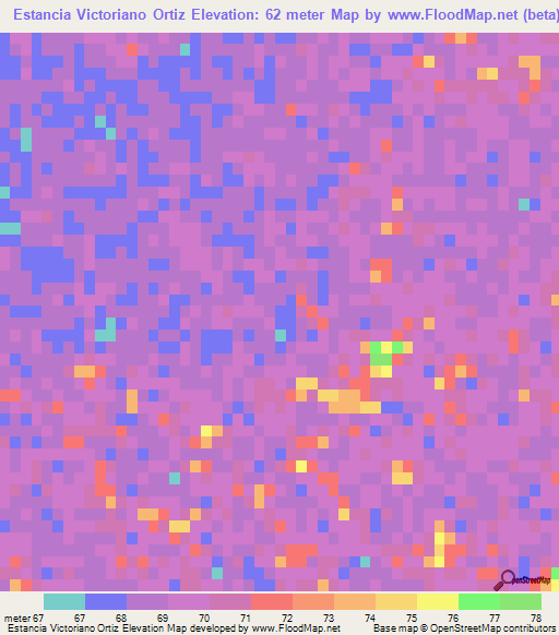 Estancia Victoriano Ortiz,Paraguay Elevation Map