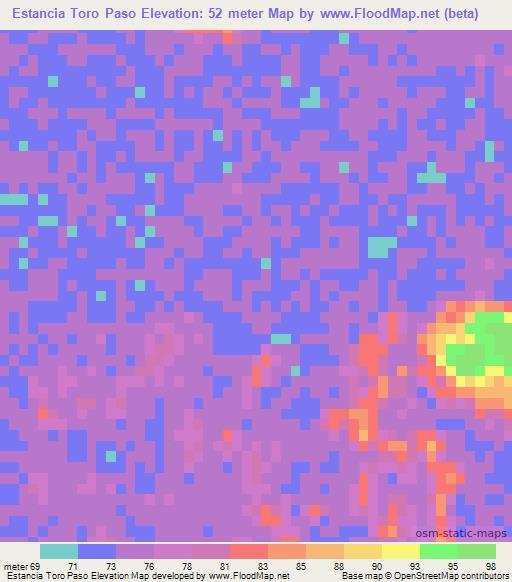 Estancia Toro Paso,Paraguay Elevation Map