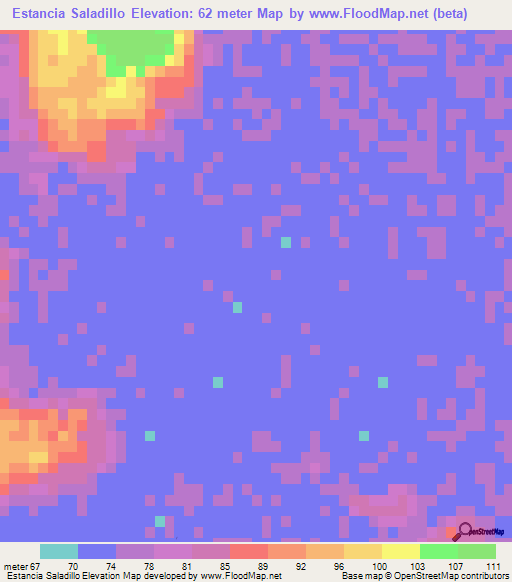 Estancia Saladillo,Paraguay Elevation Map