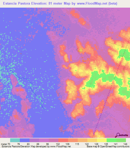 Estancia Pastora,Paraguay Elevation Map