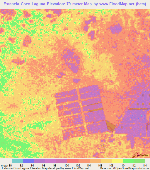 Estancia Coco Laguna,Paraguay Elevation Map