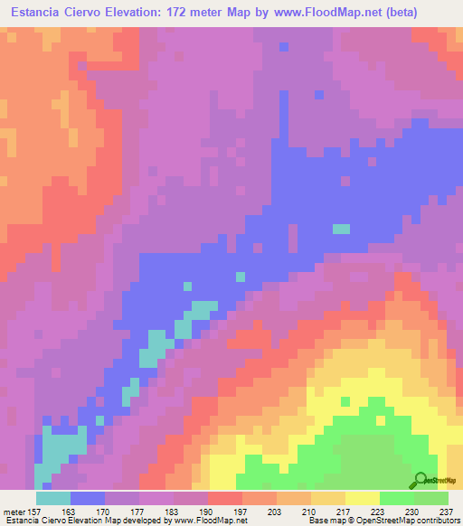 Estancia Ciervo,Paraguay Elevation Map