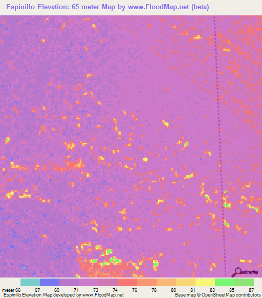 Espinillo,Paraguay Elevation Map