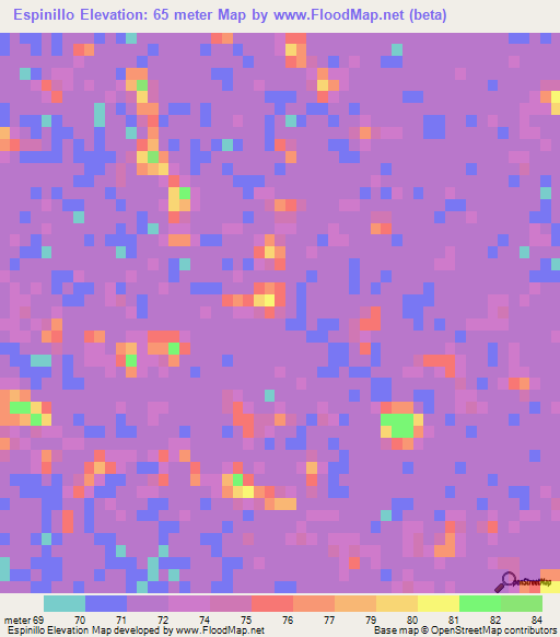 Espinillo,Paraguay Elevation Map