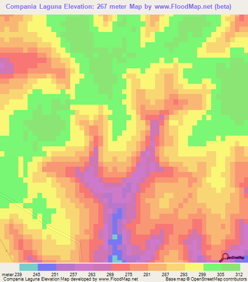 Compania Laguna,Paraguay Elevation Map
