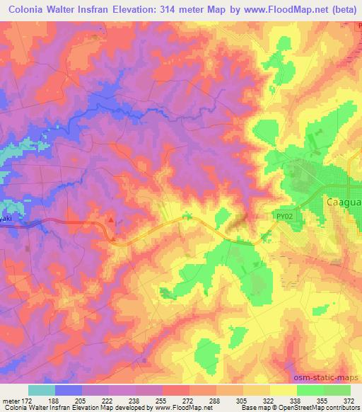Colonia Walter Insfran,Paraguay Elevation Map