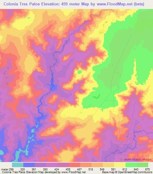 Colonia Tres Palos,Paraguay Elevation Map