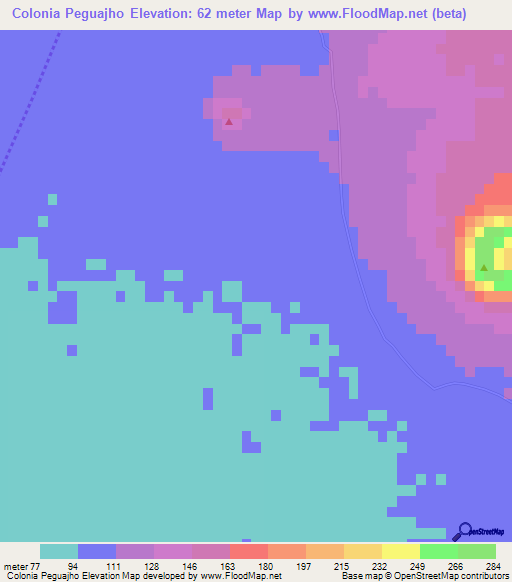 Colonia Peguajho,Paraguay Elevation Map