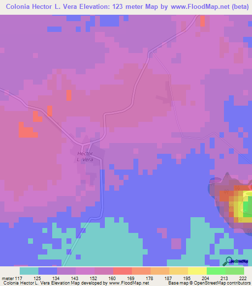 Colonia Hector L. Vera,Paraguay Elevation Map