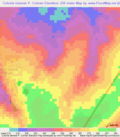 Colonia General P. Colman,Paraguay Elevation Map