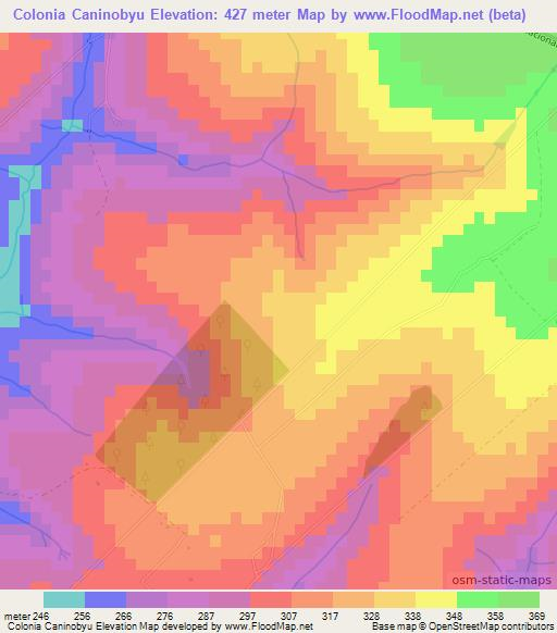 Colonia Caninobyu,Paraguay Elevation Map