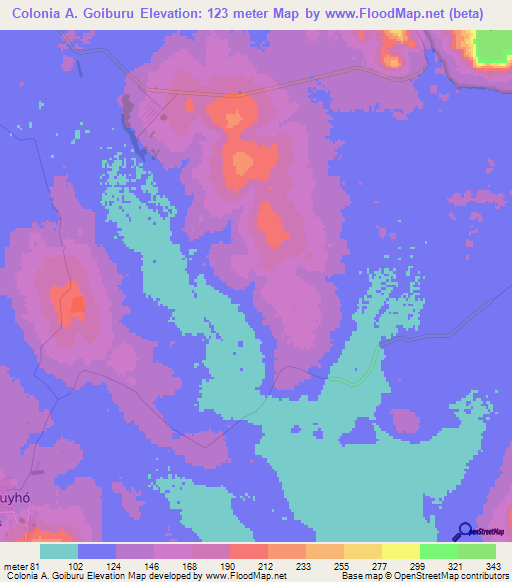 Colonia A. Goiburu,Paraguay Elevation Map