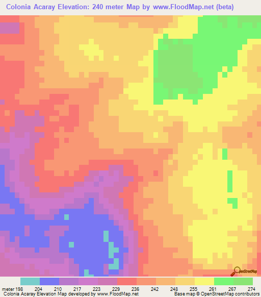 Colonia Acaray,Paraguay Elevation Map
