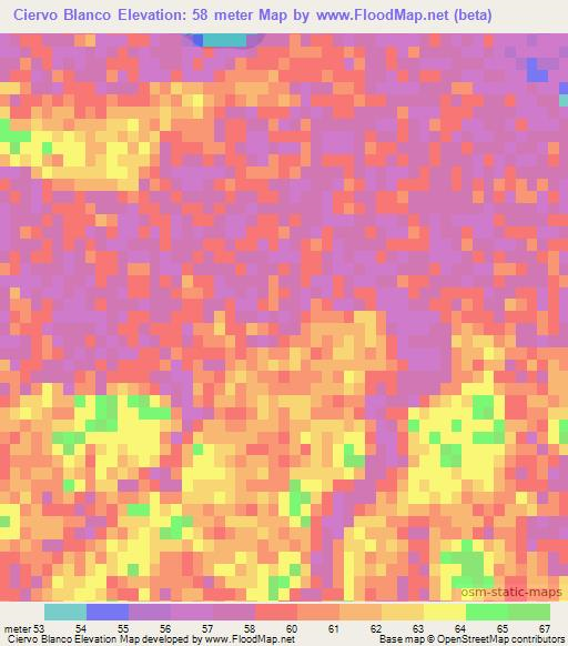 Ciervo Blanco,Paraguay Elevation Map