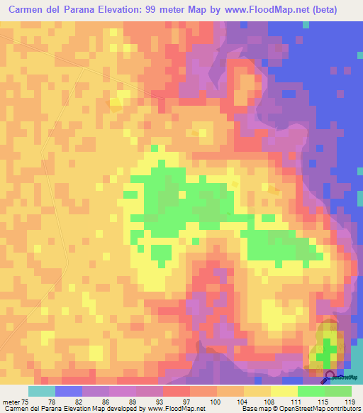 Carmen del Parana,Paraguay Elevation Map