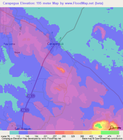 Carapegua,Paraguay Elevation Map