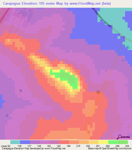 Carapegua,Paraguay Elevation Map