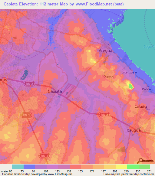 Capiata,Paraguay Elevation Map