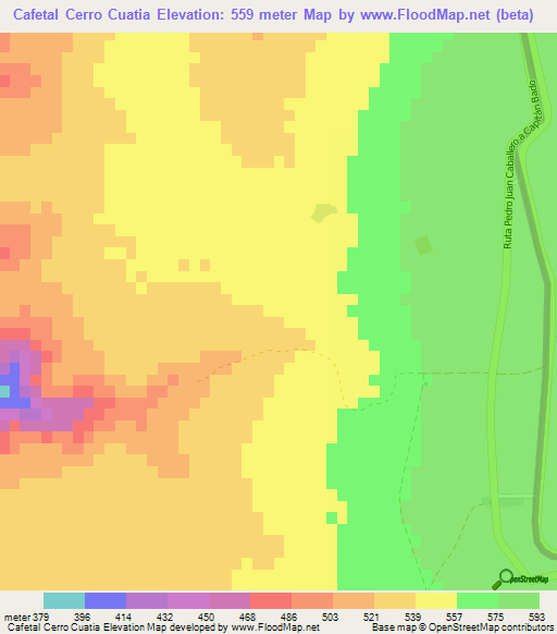 Cafetal Cerro Cuatia,Paraguay Elevation Map