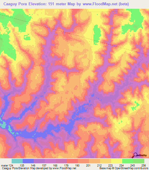 Caaguy Pora,Paraguay Elevation Map