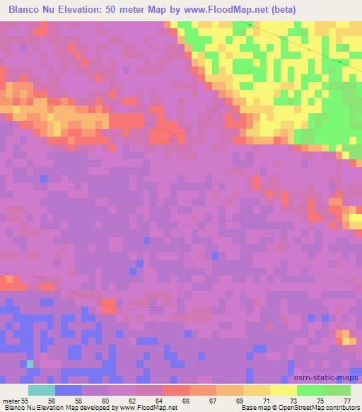 Blanco Nu,Paraguay Elevation Map