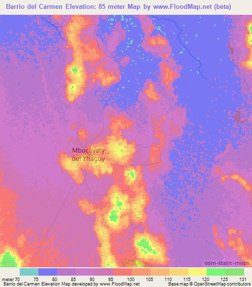 Barrio del Carmen,Paraguay Elevation Map