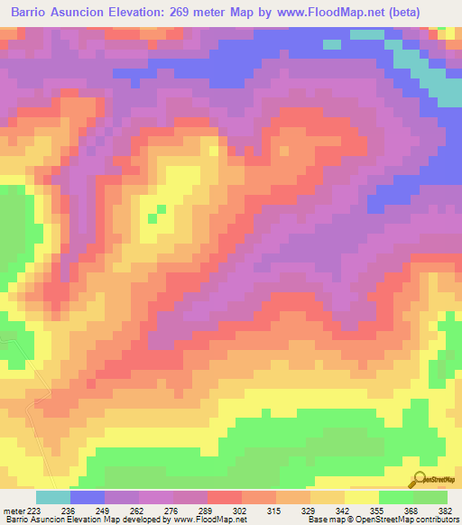 Barrio Asuncion,Paraguay Elevation Map